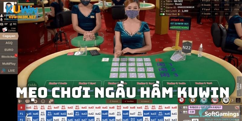 Kinh nghiệm chơi Ngầu Hầm KUWIN hiệu quả không phải ai cũng biết